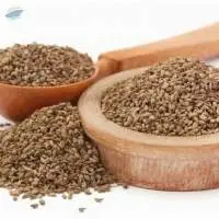 Carom Seeds