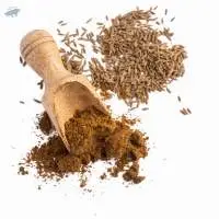 Cumin Powder
