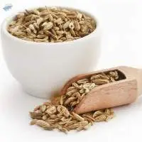 Fennel Seeds