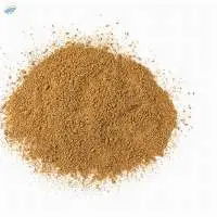 Garam Masala