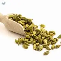 Green Cardamom