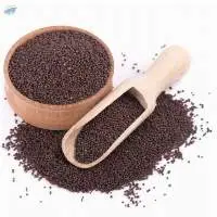 Mustard Seeds