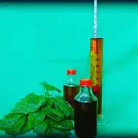 Patchouli Oil