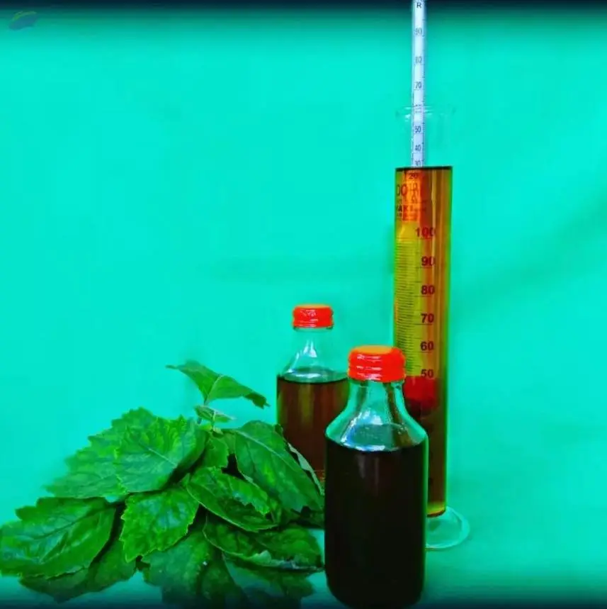 Patchouli Oil