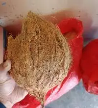 Semi Husked Coconut