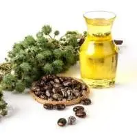 Castor Carrier Oil