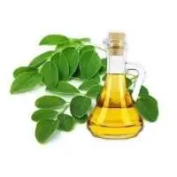 Moringa Carrier Oil