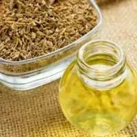 Caraway Essential Oil