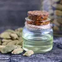Cardamom Essential Oil