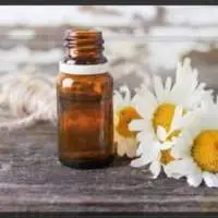 Chamomile Roman Essential Oil