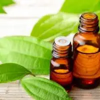 Cinnamon Leaf Essential Oil