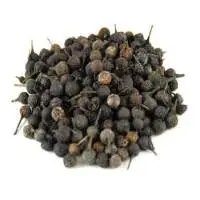 Cubeb Essential Oil