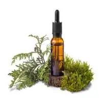 Cedarleaf (Thuja) Hydrosol
