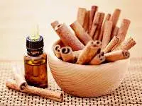 Cinnamon Bark Organic Essential Oil