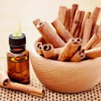 Cinnamon Bark Spice Oil