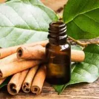 Cinnamon Spice Oil