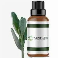 Costmary Essential Oil