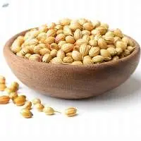 Coriander