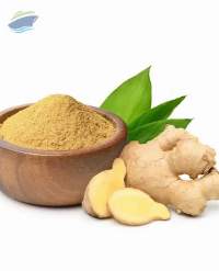Ginger