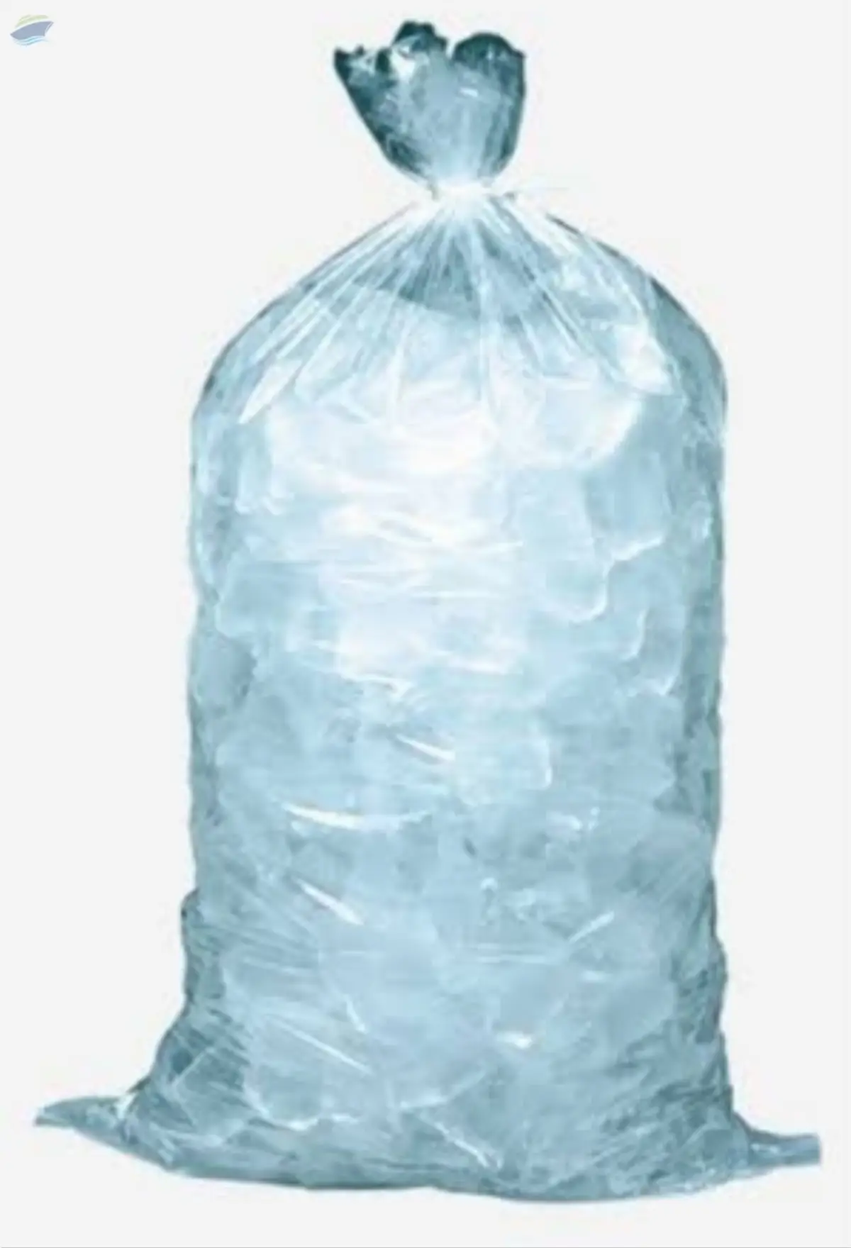 Food Grade Leakproof Plastic Ice Bags