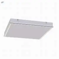 Tegular