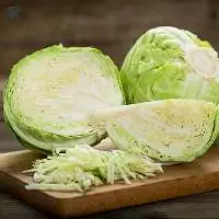 Cabbage