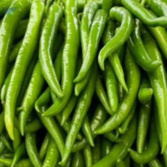 Green Chillies