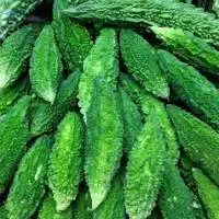 Bitter Gourd