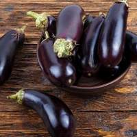 Eggplant