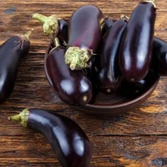 Eggplant