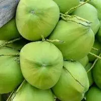 Green Coconut