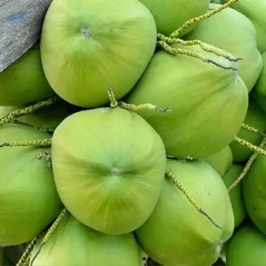 Green Coconut