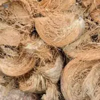 Husked Coconuts