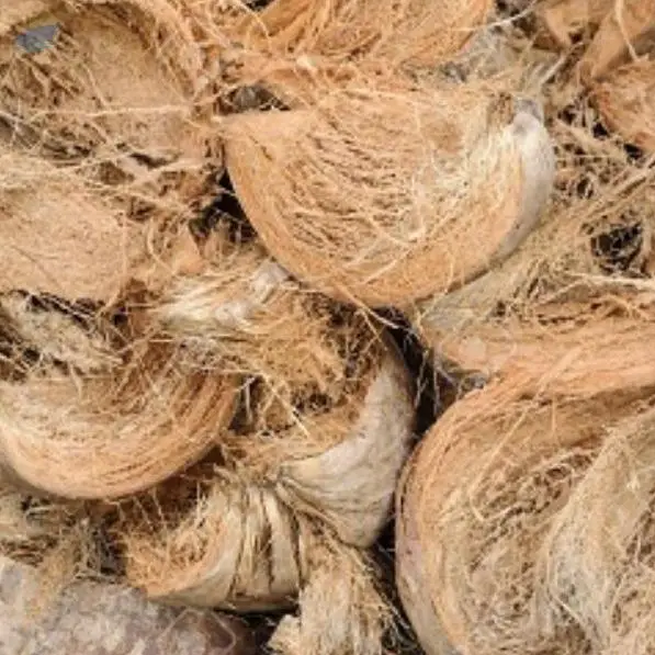 Husked Coconuts
