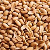 Peanut
