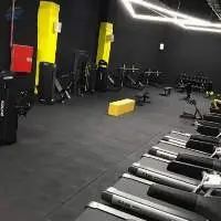 Gym Rubber Floor Covering