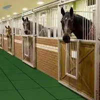 Barn Flooring