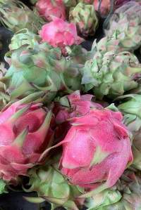 Dragon Fruit
