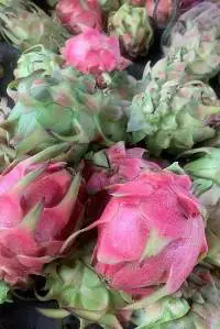 Dragon Fruit