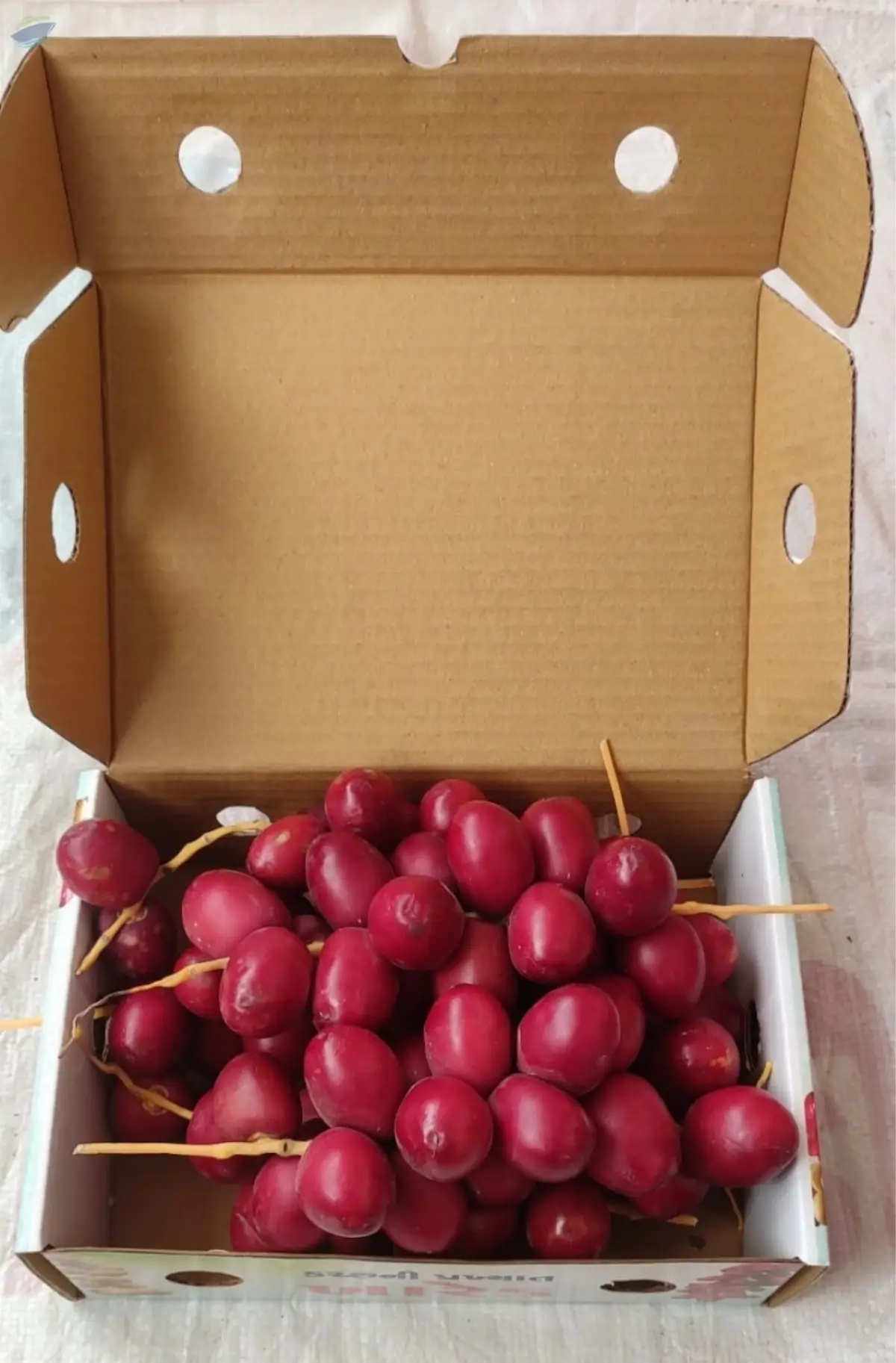Fresh Dates (Barhi)