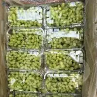 Premium Grapes