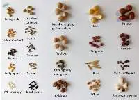Seeds