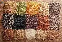 Seeds
