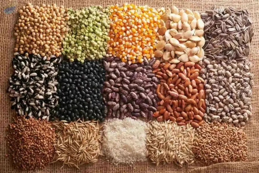 Seeds by Jaksh Overseas. Supplier from India. Product Id 1634576.