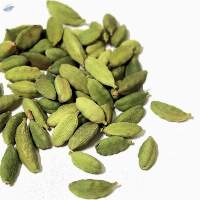 Ceylon Cardamom