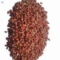Kuruluthuda Rice