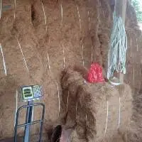 Coconut Fiber