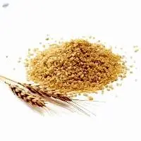 Wheat Daliya