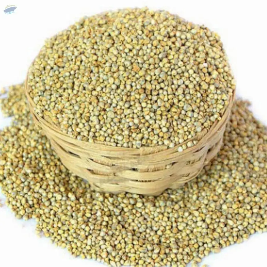 Millet/Bajra