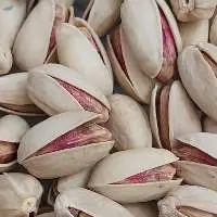 Pistachio